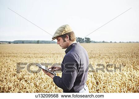 Farmer using tablet computer in field View Large Photo Image Stock Photo - Farmer using tablet computer in field. Fotosearch
