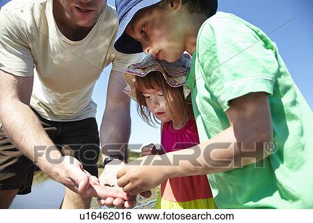 Father and children examining objects View Large Photo Image Stock Photograph - Father and children examining objects. Fotosearch