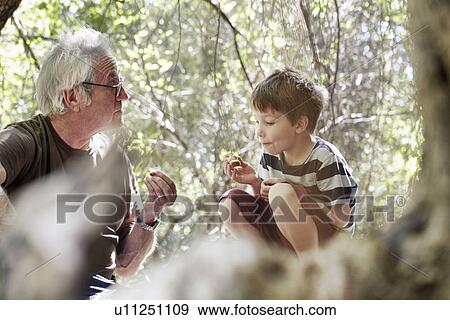 Father and his sons playing in the forest View Large Photo Image Stock Photo - Father and his sons playing in the forest. Fotosearch