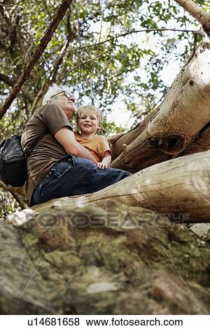 Stock Photo - Father and son sitting up in a tree. Fotosearch