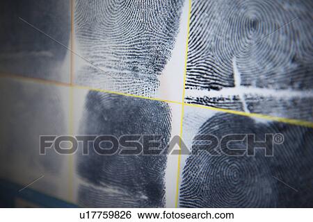 Stock Photograph - Fingerprints on screen in forensic lab. Fotosearch