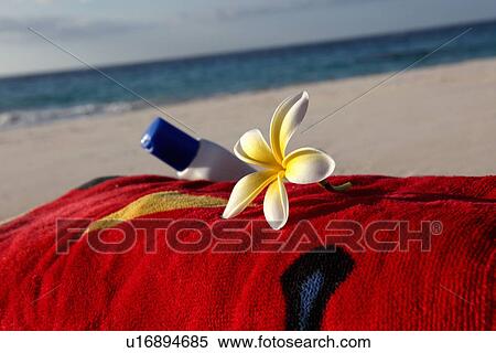 Stock Photography - Flower and sunscreen on towel on beach. Fotosearch