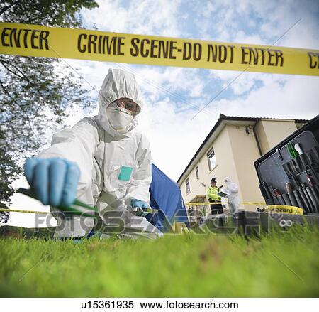 Stock Photography - Forensic scientist at crime scene. Fotosearch