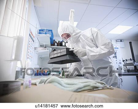 Forensic scientist working in lab View Large Photo Image Stock Photo - Forensic scientist working in lab. Fotosearch