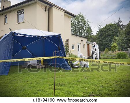 Stock Image - Forensic scientists at crime scene. Fotosearch
