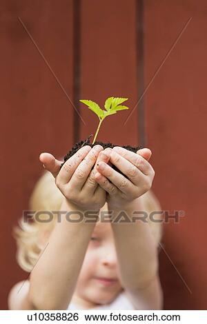 Stock Photograph - Girl holding seedling outdoors. Fotosearch