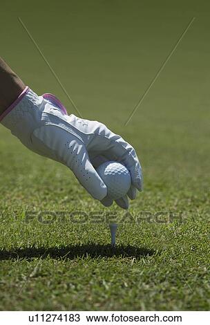 Stock Image - Gloved hand placing golf ball on tee. Fotosearch