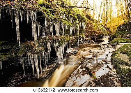 Icicles on trees by frozen river View Large Photo Image Stock Image - Icicles on trees by frozen river. Fotosearch