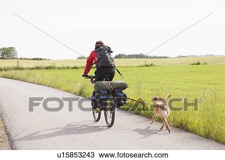 Man riding bicycle with dog View Large Photo Image Stock Image - Man riding bicycle with dog. Fotosearch