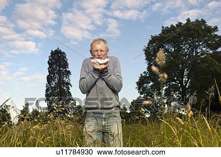 Stock Image - Man sneezing in tall grass. Fotosearch