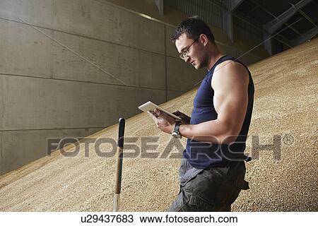 Man using tablet computer in grain View Large Photo Image Stock Image - Man using tablet computer in grain. Fotosearch