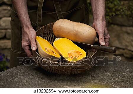 Man with basket of butternut squash View Large Photo Image Picture - Man with basket of butternut squash. Fotosearch