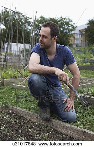 Man working in allotment View Large Photo Image Stock Photo - Man working in allotment. Fotosearch