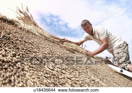 Man working on straw roof View Large Photo Image Picture - Man working on straw roof. Fotosearch