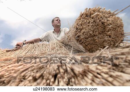 Stock Image - Man working on straw roof. Fotosearch