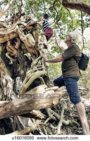 Older man and grandson climbing tree View Large Photo Image Stock Photography - Older man and grandson climbing tree. Fotosearch