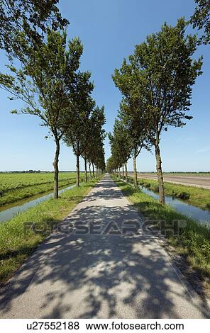 Paved road in rural landscape View Large Photo Image Stock Photo - Paved road in rural landscape. Fotosearch