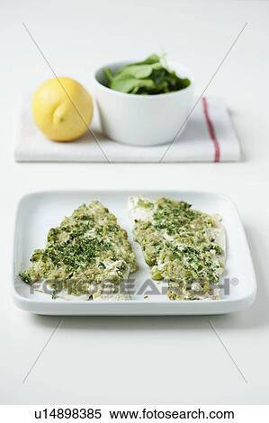 Stock Photography - Plate of herb encrusted bass filets. Fotosearch