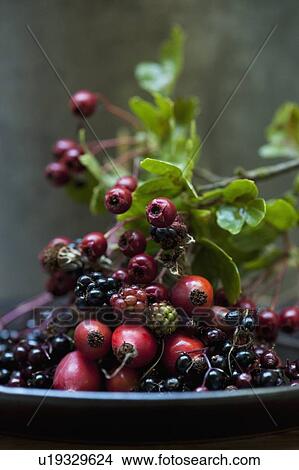 Picture - Plate of mixed wild berries. Fotosearch