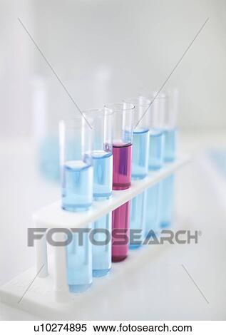 Rack of test tubes in lab View Large Photo Image Stock Photography - Rack of test tubes in lab. Fotosearch