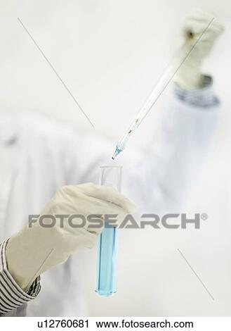 Scientist pipetting liquid in test tube View Large Photo Image Stock Image - Scientist pipetting liquid in test tube. Fotosearch