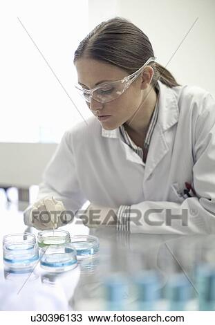 Scientist working in lab View Large Photo Image Stock Image - Scientist working in lab. Fotosearch