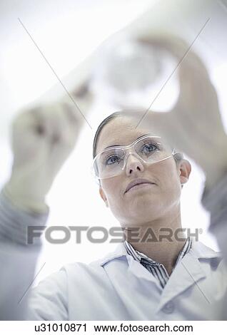 Scientist working in lab View Large Photo Image Stock Image - Scientist working in lab. Fotosearch