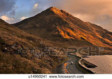 Stock Image - Sheep walking on rural mountain road. Fotosearch