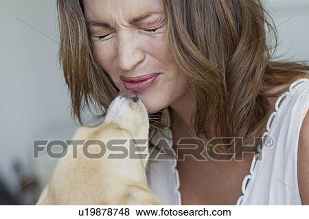 Smiling woman playing with dog View Large Photo Image Stock Photo - Smiling woman playing with dog. Fotosearch