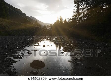 Still rocky river in forest View Large Photo Image Stock Photo - Still rocky river in forest. Fotosearch