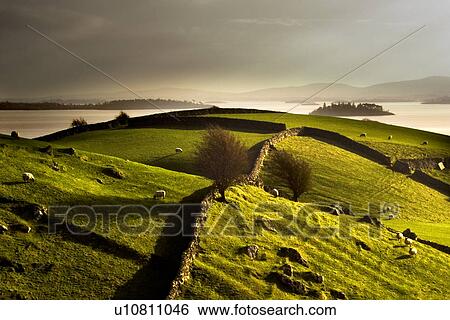 Stock Photograph - Stone walls on grassy rural hillside. Fotosearch