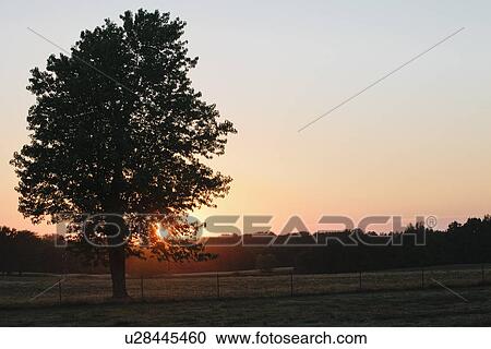 Stock Image - Sun setting over rural landscape. Fotosearch