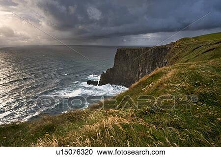 Tall grass growing on coastal cliffs View Large Photo Image Stock Image - Tall grass growing on coastal cliffs. Fotosearch