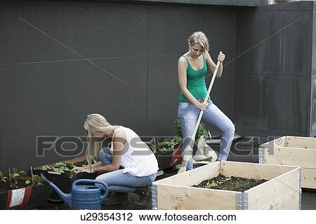 Teenage girls working in modern garden View Large Photo Image Stock Image - Teenage girls working in modern garden. Fotosearch