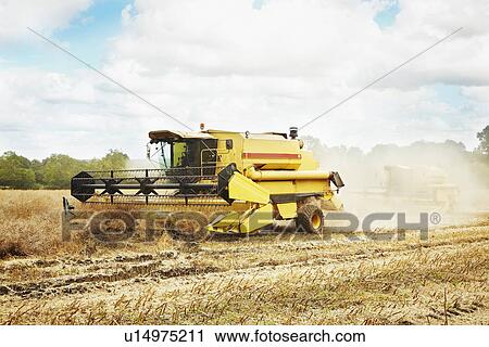 Thresher working in crop field View Large Photo Image Stock Image - Thresher working in crop field. Fotosearch