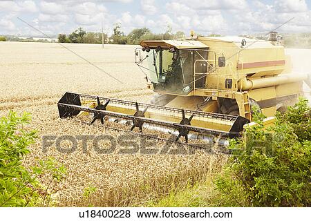 Thresher working in crop field View Large Photo Image Stock Photo - Thresher working in crop field. Fotosearch