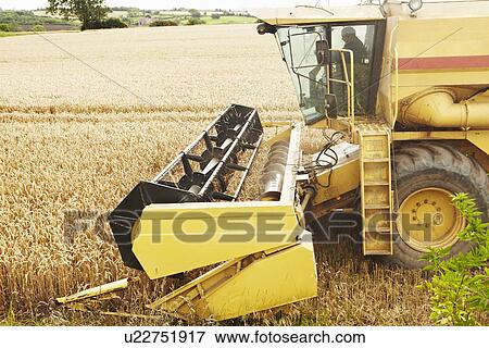 Thresher working in crop field View Large Photo Image Stock Photo - Thresher working in crop field. Fotosearch