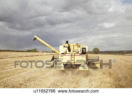 Thresher working in crop field View Large Photo Image Stock Photograph - Thresher working in crop field. Fotosearch