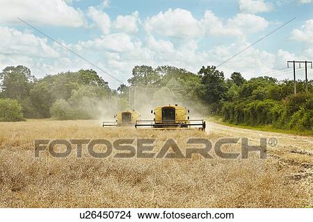 Picture - Threshers working in crop field. Fotosearch