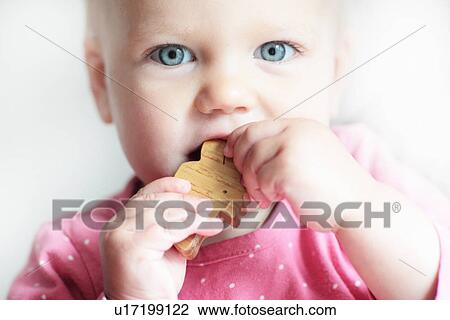 Stock Image - Toddler chewing on toy block. Fotosearch