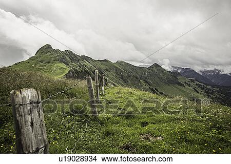 Picture - Wire fence on grassy rural hillside. Fotosearch
