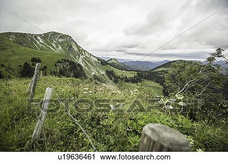 Wire fence on grassy rural hillside View Large Photo Image Stock Image - Wire fence on grassy rural hillside. Fotosearch