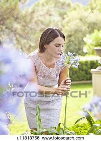 Woman smelling plants in garden View Large Photo Image Stock Photograph - Woman smelling plants in garden. Fotosearch