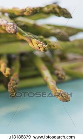 Asparagus, studio shot View Large Photo Image Stock Photo - Asparagus, studio shot. Fotosearch