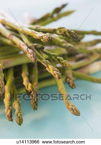 Stock Photograph - Asparagus, studio shot. Fotosearch