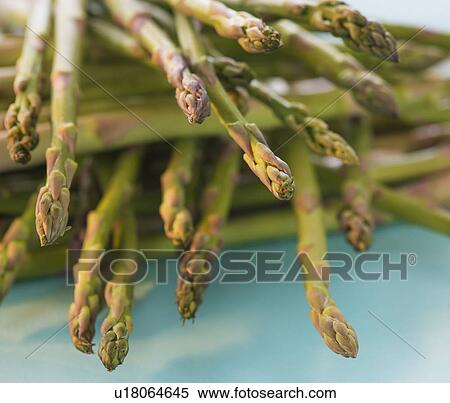 Asparagus, studio shot View Large Photo Image Stock Photography - Asparagus, studio shot. Fotosearch
