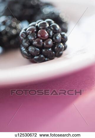 Stock Image - Blackberries on plate. Fotosearch