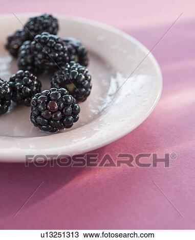 Blackberries on plate View Large Photo Image Stock Image - Blackberries on plate. Fotosearch