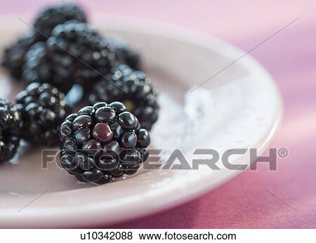 Stock Photo - Blackberries on plate. Fotosearch
