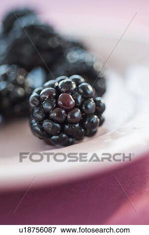 Blackberries on plate View Large Photo Image Stock Photo - Blackberries on plate. Fotosearch
